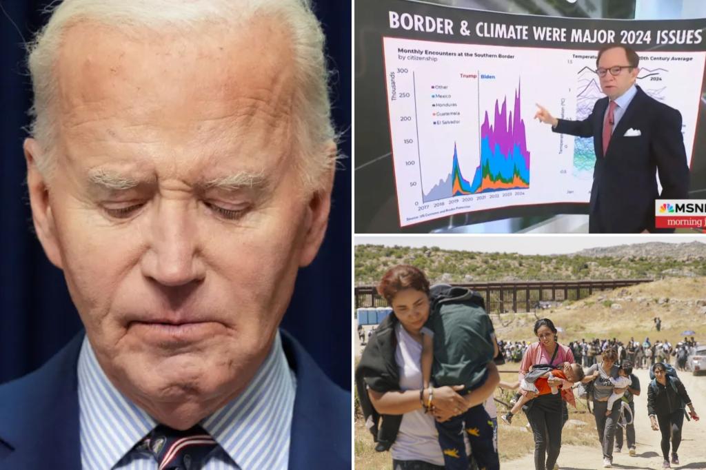 'Trump's not wrong': MSNBC analyst admits immigration policy 'not Biden's best moment'