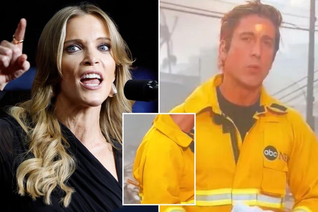 Megyn Kelly slams ABC News' David Muir for 'playing dress up' while covering LA fires: 'Terrible vanity of this man'